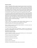 ANALISIS Y DESCRIPCION DE CARGOS