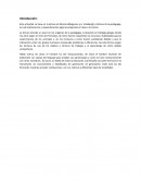 ¿Cuáles son los bienes que Prometeo y Zeus le dan a los hombres y por qué son importantes en términos educativos?