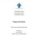 Etapas del duelo
