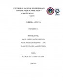 CÁNCER DEL CUELLO UTERINO