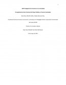 ABP Propagación de insectos en la comunidad