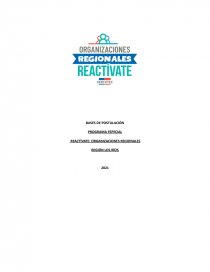 PROGRAMA ESPECIAL REACTÍVATE: ORGANIZACIONES REGIONALES. Página 1