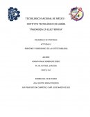 Actividad 3. Principios y dimensiones de la sustentabilidad