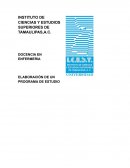 ELABORACIÓN DE UN PROGRAMA DE ESTUDIO