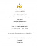 ENSAYO ACTOS MERCANTILES Y NO MERCANTILES