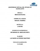 DEFINIENDO EL MERCADO META