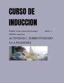 SOBREVIVIENDO A LA PANDEMIA