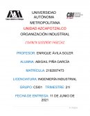 Organización Industrial