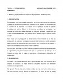 Analice y explique las cinco etapas de la preparación del Presupuesto