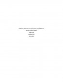 Riesgos en Movimientos y Posturas de los Trabajadores