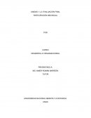 ¿Cuál es el problema principal, que identificaron para realizar el estudio organizacional?