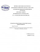 ESTRATEGIA PUBLICITARIA EN TELEVISION PARA EL POSICIONAMIENTO