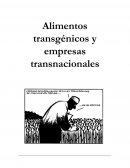 Alimentos transgénicos y empresas transnacionales