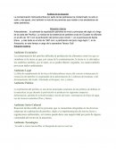 Análisis de situación: contaminación hidrocarburífera