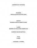 PROGRAMA ESPECIALIZACION EN ESTRUCTURAS