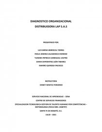 DIAGNOSTICO ORGANIZACIONAL DISTRIBUIDORA LAP S.A.S. Página 1