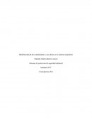 Identificación de los contaminantes y sus efectos en el sistema respiratorio