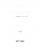 ESTRUCTURACIÓN DE LAS REDES LOGÍSTICAS Y SUS ESTRATEGIAS