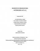 DIAGNOSTICO ORGANIZACIONAL DISTRIBUIDORA LAP S.A.S