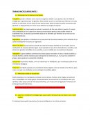 TRABAJO PRACTICO LIPIDOS PARTE 2