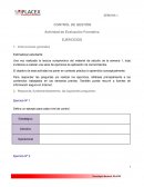 CONTROL DE GESTIÓN Actividad de Evaluación Formativa
