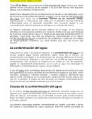 CONTAMINACION HIBRICA EN PERU