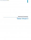 Determinación del Presupuesto de Operación