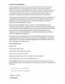 Desarrollo del caso Lyon