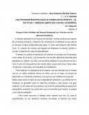 Ensayo Crítico: Análisis del Derecho Ambiental y su Vínculo con los Derechos Humanos