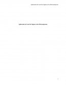 Aplicación de Lean Six Sigma en Microempresas