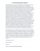 CULTURA ORGANIZACIONAL SAMSUNG