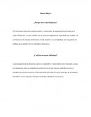 Ensayo Rayco ¿Porque tuvo éxito financiero?