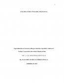 ANÁLISIS: ESTRUCTURA ORGANIZACIONAL . PRADA ALVIAR LTDA