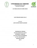 LAS FOBIAS, MÁS QUE UN SIMPLE MIEDO