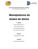 MANEJADORES DE BASE DE DATOS