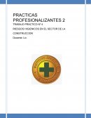 RIESGOS HIGIENICOS EN EL SECTOR DE LA CONSTRUCCION