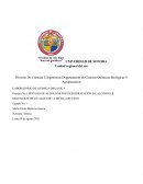 Síntesis de alquenos por deshidratación de alcoholes