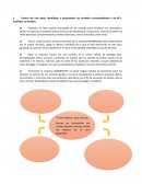 Análisis de marketing del caso Masopunto