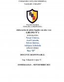 Laboración de jabón líquido con aloe vera