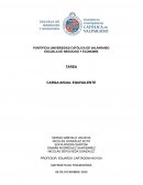LA CARGA ANUAL EQUIVALENTE