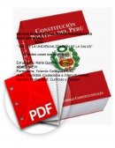 ENSAYO CONSTITUCION POLITICA DEL PERU