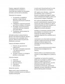 Elementos de una empresa