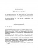 RESUMEN EJECUTIVO ¿Qué son las barreras idiomáticas?