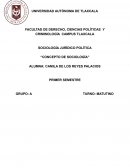 CONCEPTO DE SOCIOLOGÍA