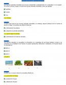 Actividad evaluativa – Recursos naturales