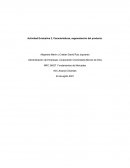 Fundamentos de Mercadeo. Producto Harina a base de lentejas