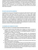 EL SECTOR SALUD Y SUS DESAFÍOS BICENTENARIOS