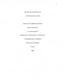 Aprendizaje obtenidos hasta el día de hoy