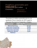 Empleos generados por mypimes, empresas públicas y sector privado