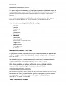 Literatura 5º Cronología de los movimientos literarios